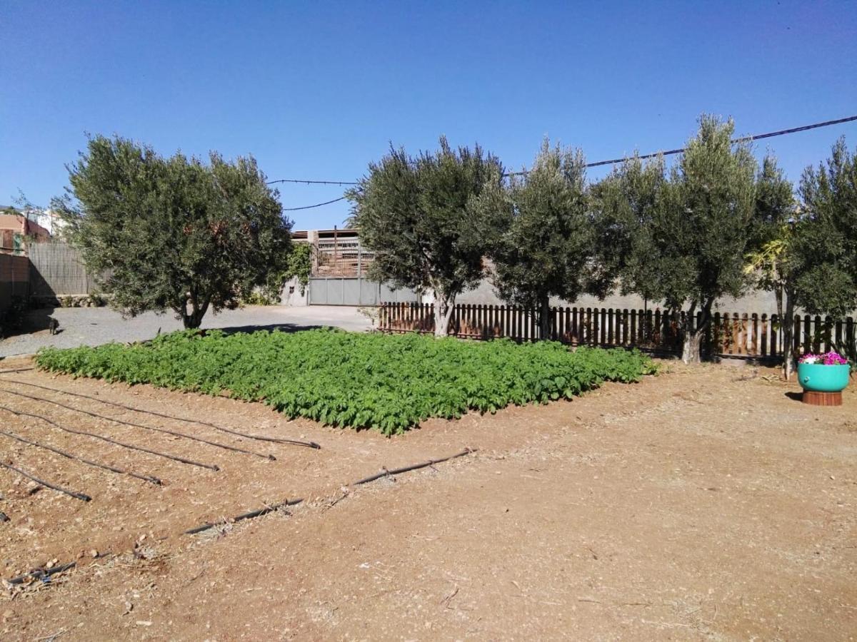 Agüimes La Casita Del Naranjo 빌라 외부 사진