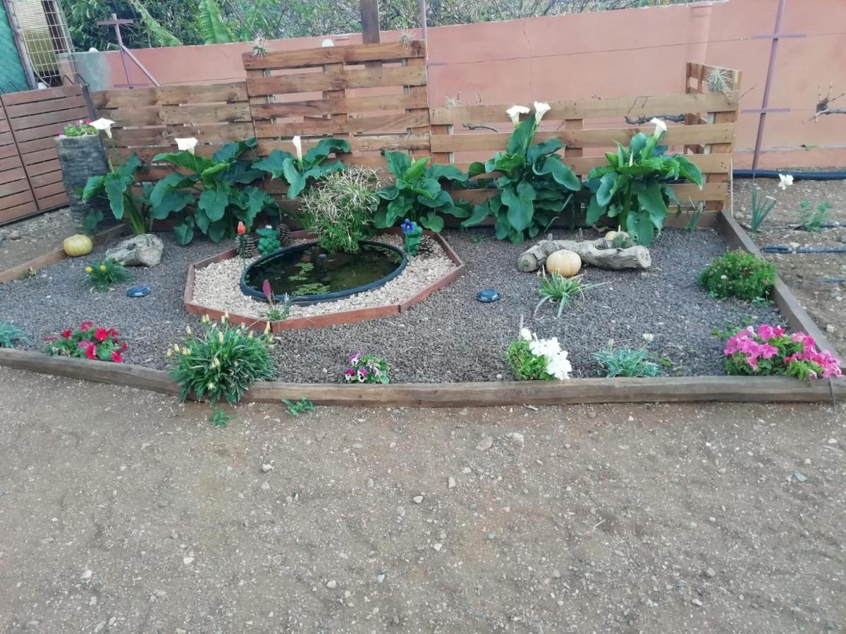 Agüimes La Casita Del Naranjo 빌라 외부 사진